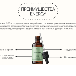 DZEN CBD oil Жидкая настойка на кокосовом масле МСТ 200мг, кордицепс 30мл