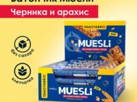 SNAQ FABRIQ Батончик мюсли "Черника" 40 гр