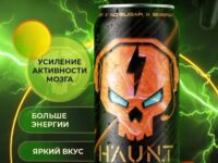 HAUNT Напиток тонизирующий "Цитрус" 450 мл.